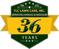 Expert Tips For TLC Lawn Care During The Spring